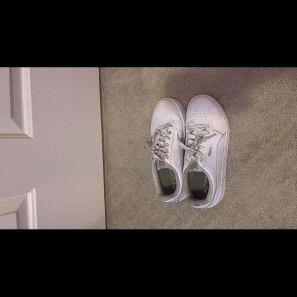 Pumas - Picture 4 of 4